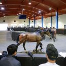 부마목장 이미지