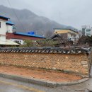 달보다가