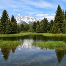 중부목장 이미지