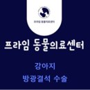 프라임 동물의료센터 이미지