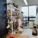 엘리스스튜디오 이미지