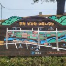 삼기저수지 등잔길 | 가볼만한 곳! 보강천 미르나무숲과 국화 &amp; 좌구산 자연휴양림 명상구름다리 &amp; 삼기저수지 둘레길 등잔길