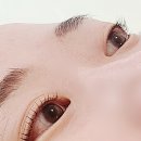 [벤뷰티] 일산 백석동 속눈썹펌 후기