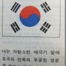 국기에 대한 맹세에서 &#39;조국과 민족&#39;을 빼 버린 다문화 선동 민족말살책동 역적세력들 이미지