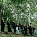 자연의 소리 이미지