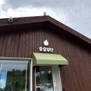 대금목장 | 6월 여름 제주도 여행 가볼만한곳 서쪽코스 금능 협재 한림 소품샵 성이시돌목장 수국