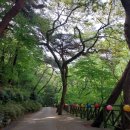 미래사 | 통영 미래사트레킹, 용화사 다녀 오다, 걸으면서 호흡 명상 하였다