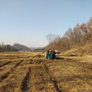 능촌농장 Daum카페