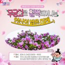 안산-대부-대부-풍도2 이미지