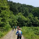 송곡주유소 이미지