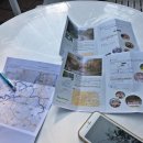 GS25 판교운중점 이미지