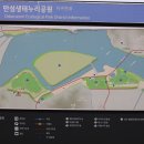 딴섬