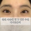 뷰티야미 | 춘천 바이민뷰티 LED 속눈썹 후기