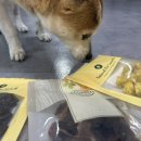 Pet snack(펫스낵) 이미지