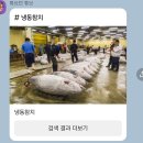 딩딩코인노래연습장 이미지