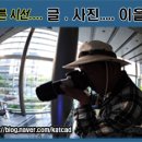 홍도참치 이미지