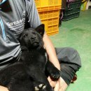 영애농장 이미지