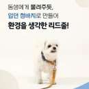 오투앤독 강아지 친환경 목줄 업사이클링 목줄+리드줄