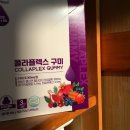 에스디플렉스(주) 이미지