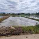 똑순이부동산공인중개사사무소 이미지