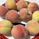 매향농장 이미지