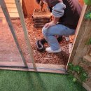 휘바핀란드위드플레이정글 이미지