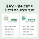 닷컴분식 이미지