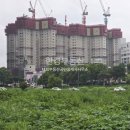 와이즈단지내공인중개사사무소 이미지