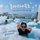 (유)하늘고속관광 | 강원도 속초 호텔 추천 홈마리나속초 객실 후기 위치 좋은 신상 숙소