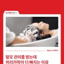 닥터포헤어 대구죽전점 두피탈모센터 이미지