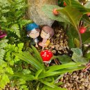 외포농장 이미지