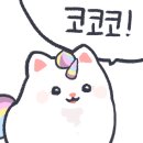 콘이코니