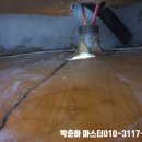 청년배관케어하수구막힘싱크대막힘누수탐지 이미지