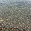 흥환1리 간이해수욕장 화장실 | 조용하게 놀기 좋은 경북 포항 흥환간이해수욕장 후기 - 해루질 포인트 , 샤워장, 화장실