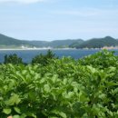 양화농장 이미지