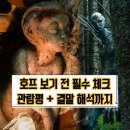 1983호프 | 영화 호프 관람평 총정리 | 등장인물 상영일정 줄거리 손익분기점까지