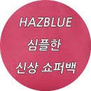 하즈블루 이미지