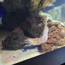 이케부쿠로 이미지