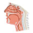 화정코앤키한의원 이미지