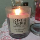 캔들하우스 이미지