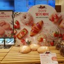 파리바게뜨전북도청점