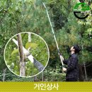 가든 쿡 이미지