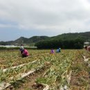 영천마을회관 이미지