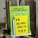 속초회포장 | 강원도 여행 코스 중앙시장 속초 회포장 맛집 대일호방어 모듬회 후기