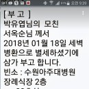 페리우스 모친상 이미지