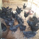 현주슈퍼 이미지