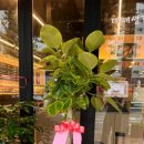 마산시농협하나로마트 이미지