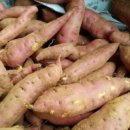 장농장 | [스마트스토어 하는 법④] 효장농장 스토어 첫 구매후기를 받았어요! 리뷰에 답글 쓰는 방법