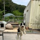 통영수영장 | 통영거제여행 숙소 수영장 및 놀거리 가득한 통영편백숲길캠핑장 카라반 이용후기