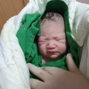 이조삼계탕. 고기 이미지